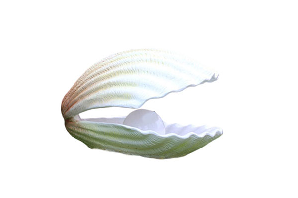 Shell Sculpture